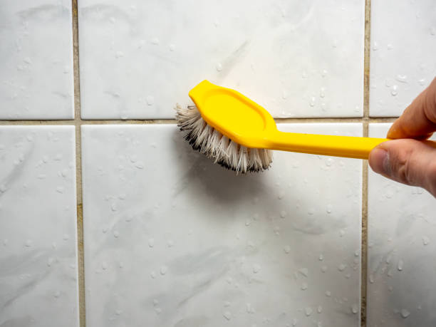Lincolnshire, IL Mold Removal Company