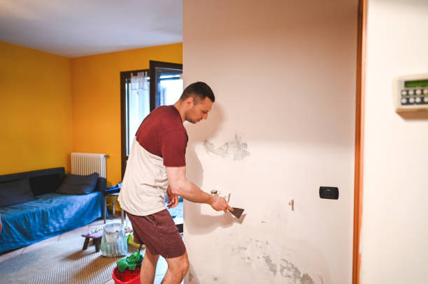 Best Attic Mold Removal  in Lincolnshire, IL