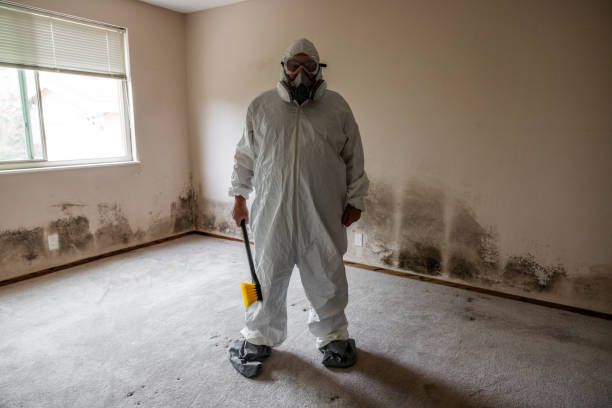 Best Toxic Mold Removal  in Lincolnshire, IL